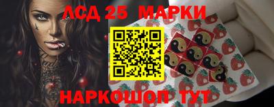 мяу мяу мука Гатчина