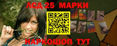 мяу мяу мука Гатчина
