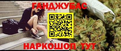 гидра Гай