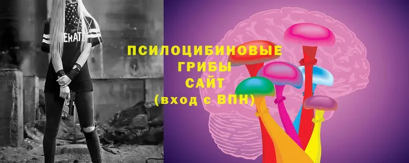 Галлюциногенные грибы прущие грибы  Соликамск 