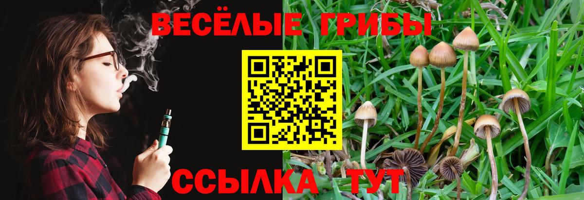 Галлюциногенные грибы Psilocybe Соликамск